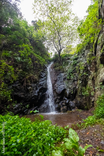 La Gomera  island of lush forests  incredible greens  water  rivers  sun and beach.  