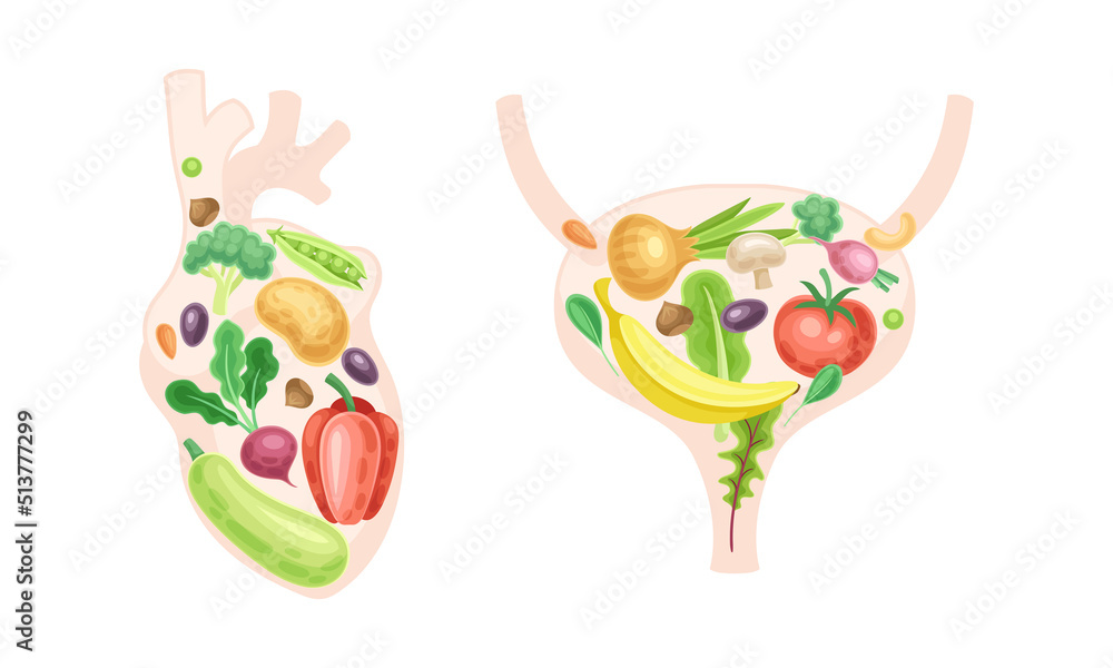 Heart and bladder made of fresh fruit and vegetables. Healthy human internal organs vector illustration - obrazy, fototapety, plakaty 
