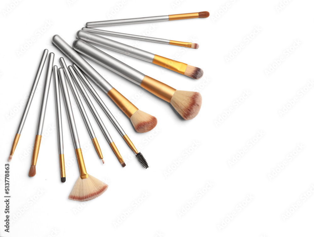 Cosmetics. Make up brushes set over white background. With clipping path