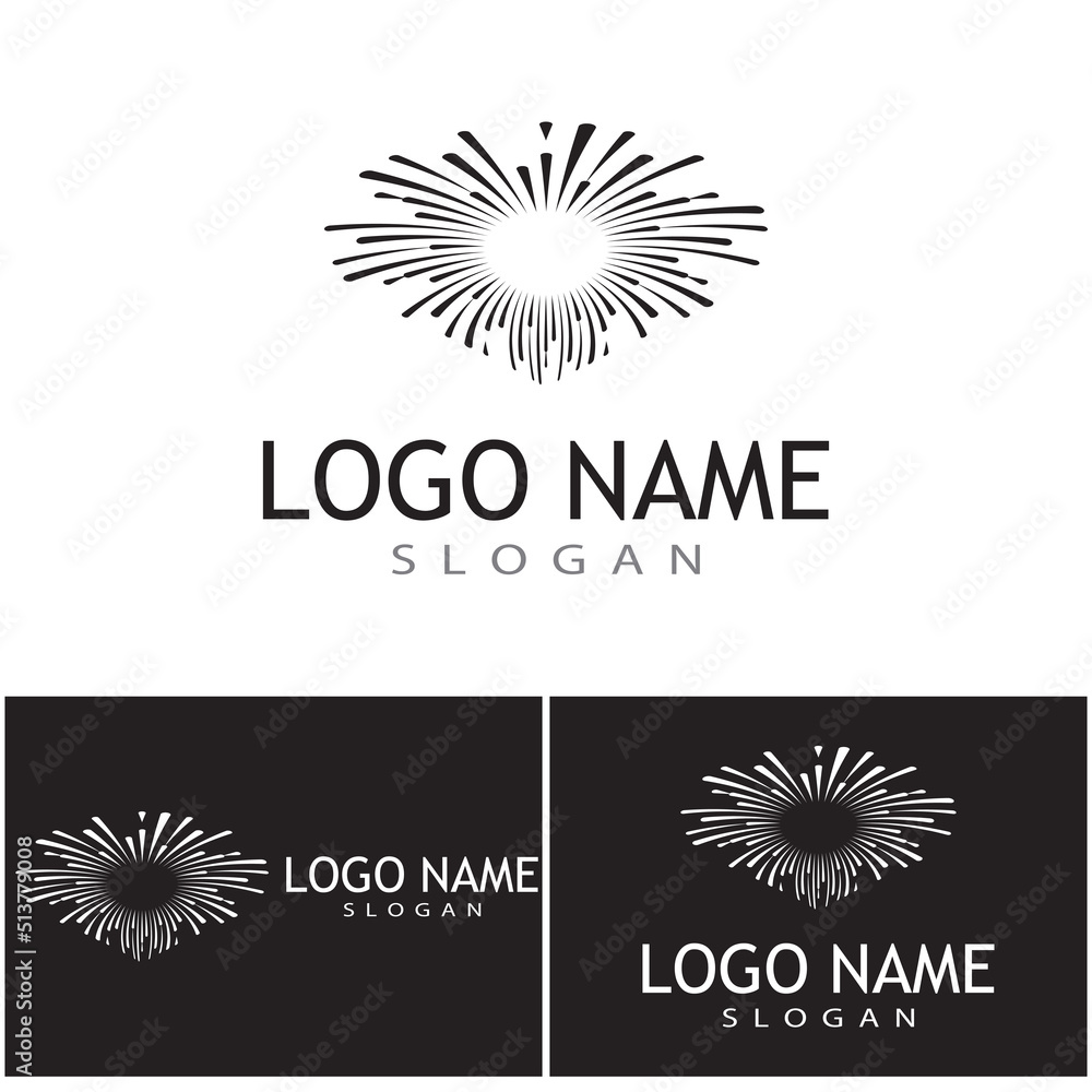 Fototapeta premium Fireworks Logo Template vector symbol