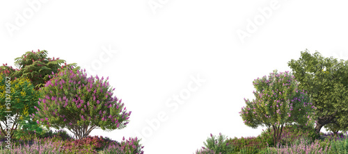 summer, spring, park, color, frame, 3d render, background, white, foliage, branch, leaf, tree, isolated, flora, bush, nature, natural, forest, growth, garden, environment, tropical, outdoor, green, br