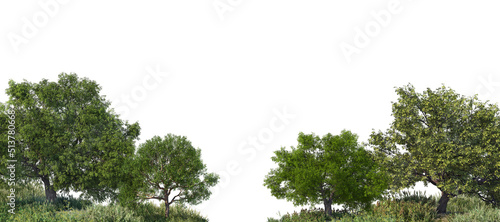 Fotografie, Obraz summer, spring, park, color, frame, 3d render, background, white, foliage, branc
