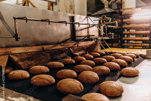 Automatic bakery production line with sweet cookies on conveyor belt equipment machinery in confectionary factory workshop, industrial food production