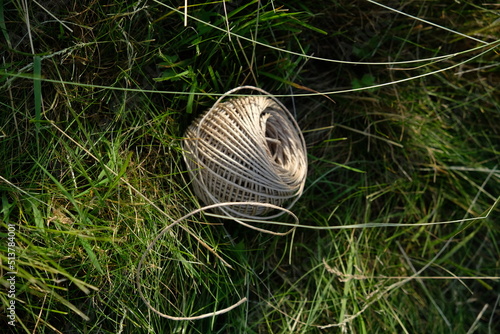 FU 2021-06-19 Wiehl 159 Im Gras liegt eine Kordel photo