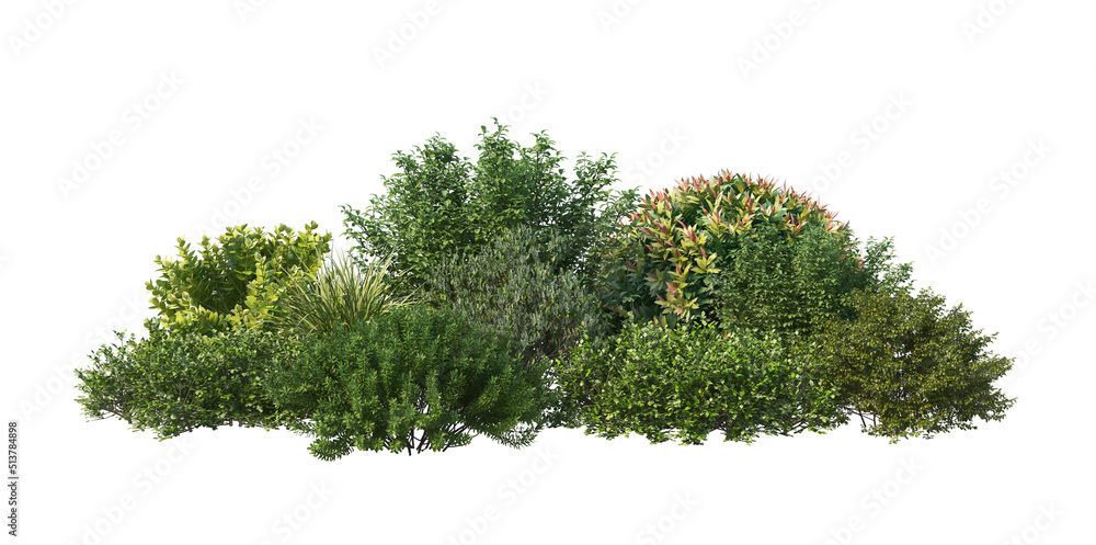 3d render shrub with white background 3d render shrub with white background