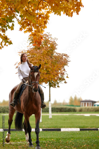 Autumn landscape, beautiful brunette girl with long hair posing with a red horse in the forest.