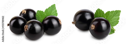 Four black currant with leaf isolated on white background. Set or collection