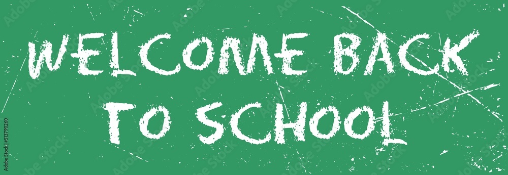 Back To School Chalked Doodle Background On Green Board With Copy Space Vector Illustration Back To School Chalked Doodle Background On Green Board With Copy Space Vector Illustration