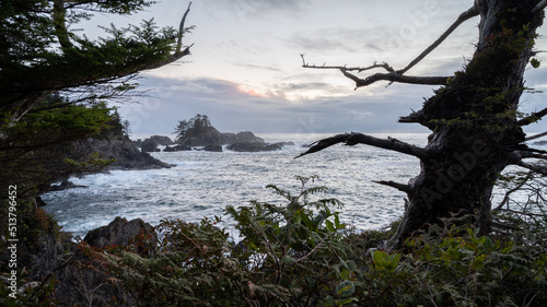 Wild Pacific Trail sunset in Ucluelet  British Columbia