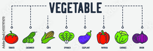 Vegetarian Vegetable banner web icon. tomato, cucumber, corn, spinach, eggplant, paprika, cabbage, onion vector illustration concept.