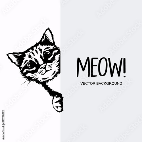 Vector Monochrome Hand Drawn Black, White Hiding Peeking Kitten with Paws. Kitten Head Peeking Over Vertical Blank White Placard, Poster, Banner. Pet Kitten Curiously Peeking Behind White Background