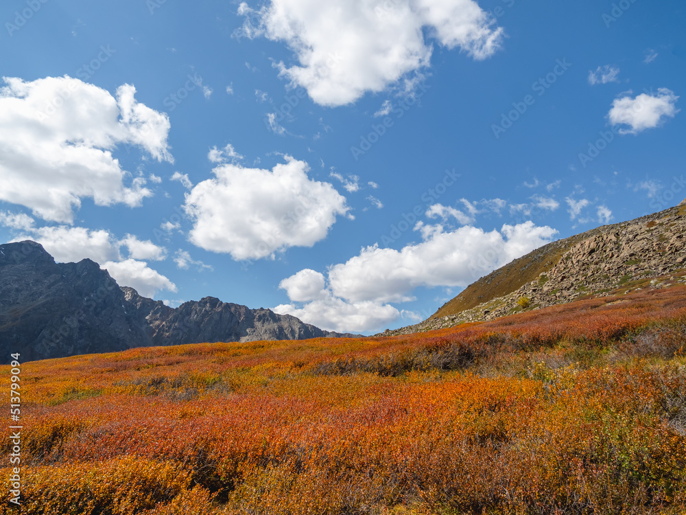 Fototapeta premium Minimalistic colorful mountain scenery with slope of hill in golden sunlight in autumn time in pastel tones. Amazing golden light and shadow on the rock in autumn steppe. High-altitude plateau