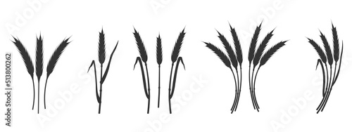 Silhouette ears wheat. Black shadow cereal plants.