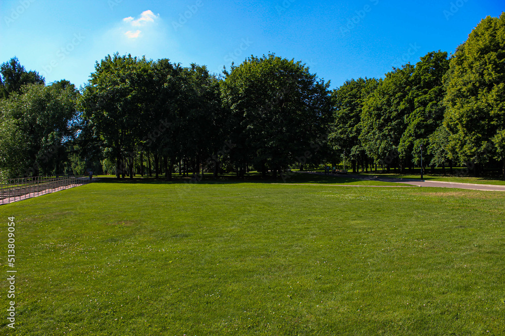 Green meadow with short grass on the lawn and trees growing in the distance Green meadow with short grass on the lawn and trees growing in the distance