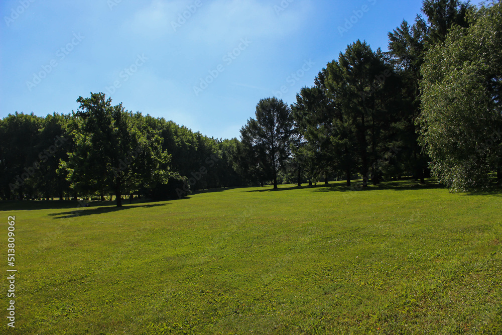 Green meadow with short grass on the lawn and trees growing in the distance