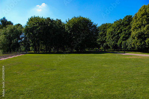 Fototapeta Naklejka Na Ścianę i Meble -  Green meadow with short grass on the lawn and trees growing in the distance