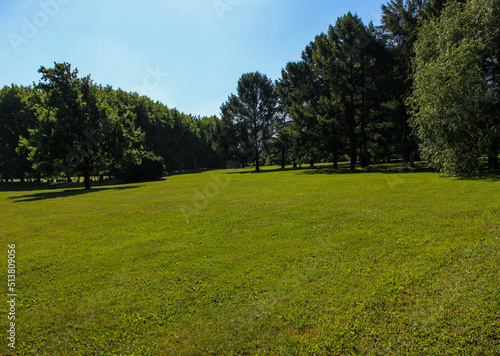 Green meadow with short grass on the lawn and trees growing in the distance