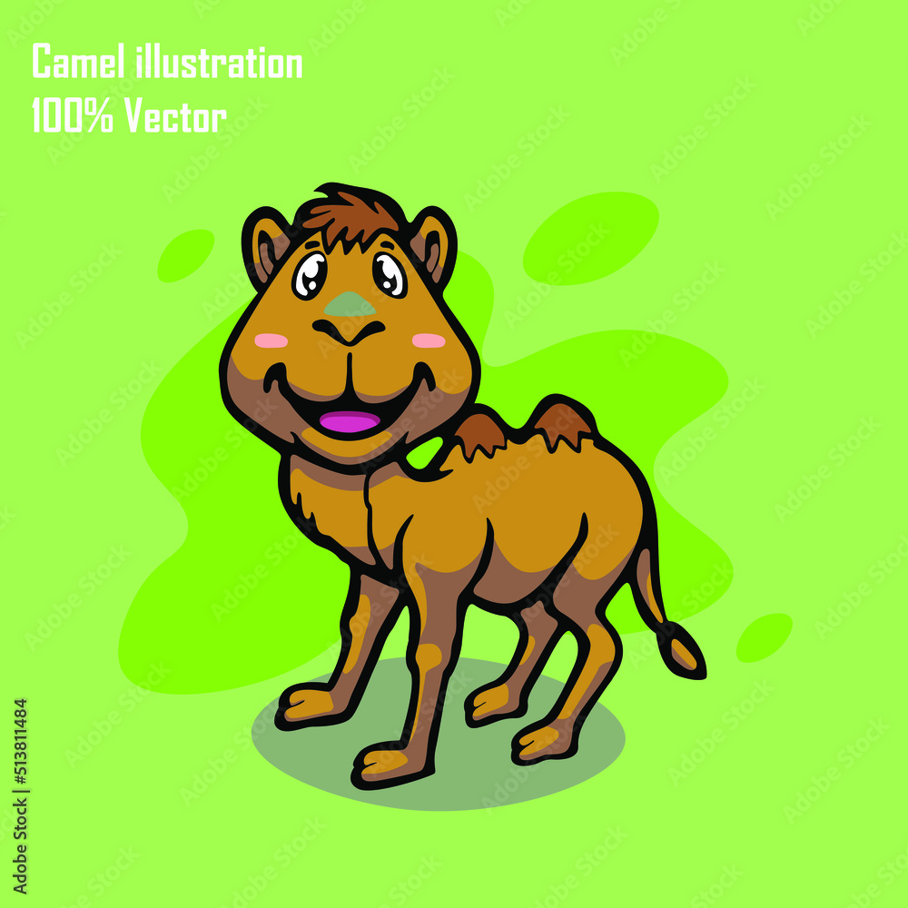 Fototapeta premium camel