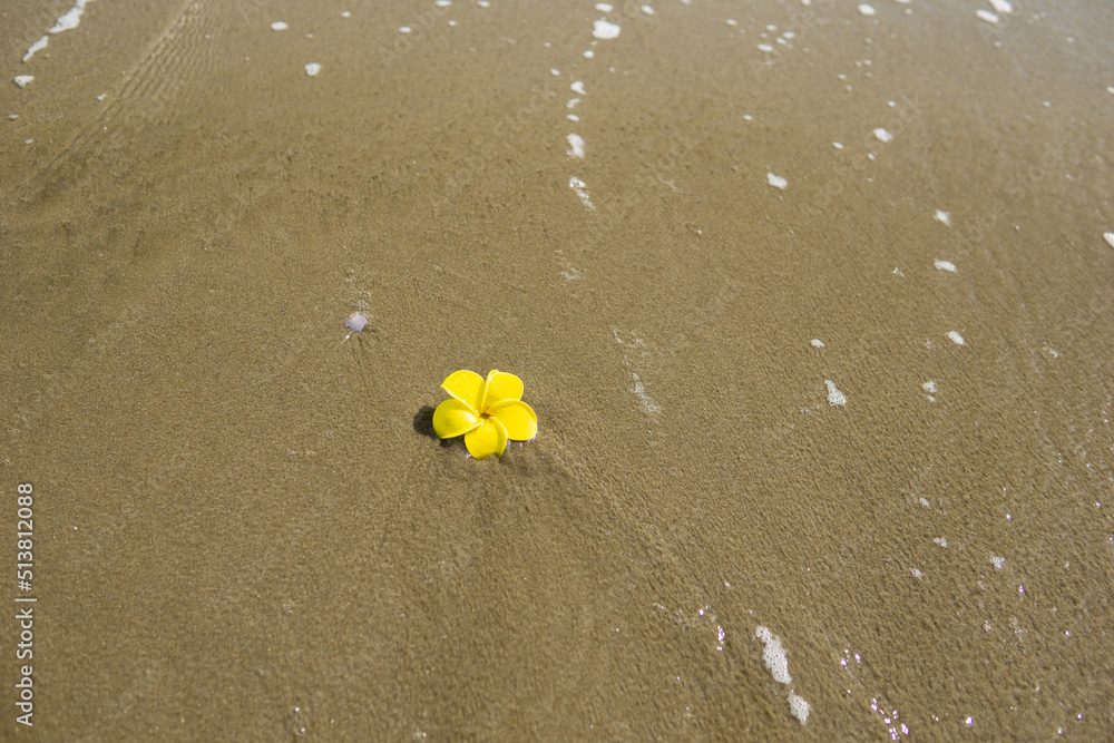 波とプルメリアの花