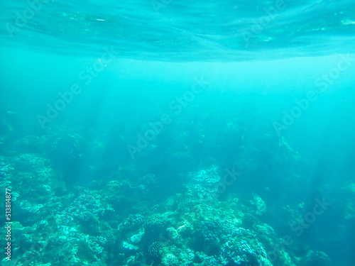 Bright blue underwater image of Pacific ocean water and the coral reef taken in Maui Hawaii