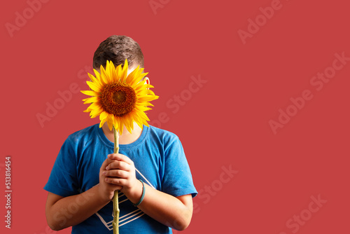An 8-year-old boy holds a sunflower in front of his face on a dirty pink background. The concept of shyness. photo