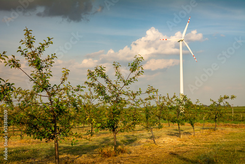 widok na sad wiśniowy i turbinę wiatrową