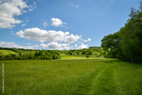 Fototapeta Naklejka Na Ścianę i Meble -  Beautiful green meadow above small village of Kuchyna at the edge of Little Carpathians