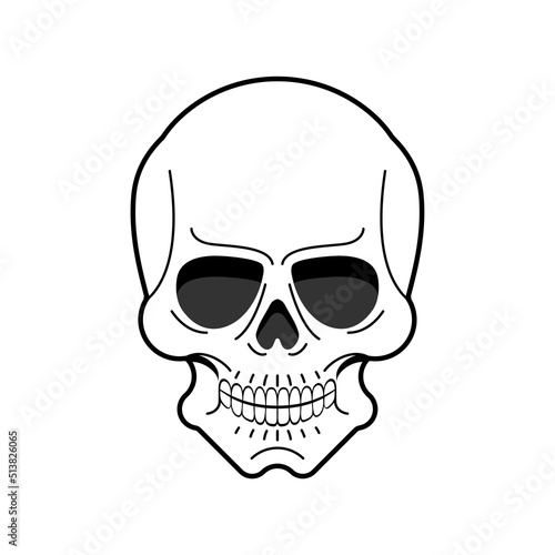 Anatomical skull isolated. skeleton head Vector illustration