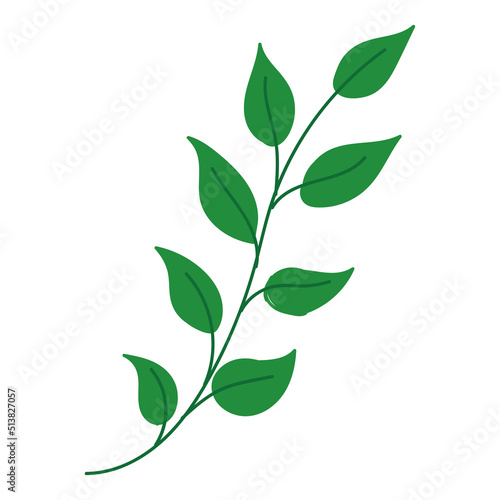 Isolated green nature leaf icon flat design Vector