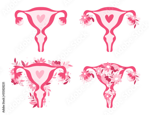 Female reproductive system set. Hand drawn uterus, womb female reproductive sex organ and flowers. The uterus is overgrown with plants. Vector illustration isolated on white background.