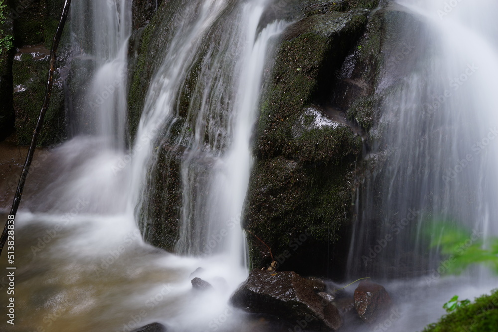 Fototapeta premium waterfall in the Oirase Gorge 奥入瀬渓流の滝