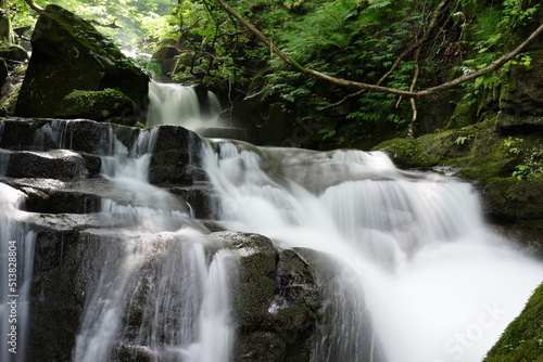 Fototapeta Naklejka Na Ścianę i Meble -  waterfall in the Oirase Gorge　奥入瀬渓流の滝