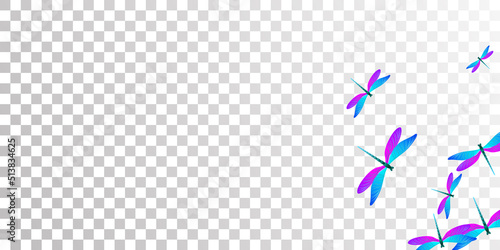 Exotic blue purple dragonfly flat vector background. Spring funny damselflies. Detailed dragonfly flat girly wallpaper. Delicate wings insects graphic design. Garden beings