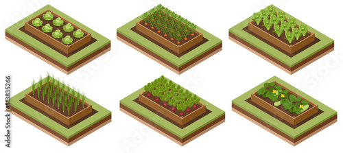 Isometric Vegetable garden. Vegetables in backyard formal garden. Vegetables growing in the garden. Eco friendly gardening