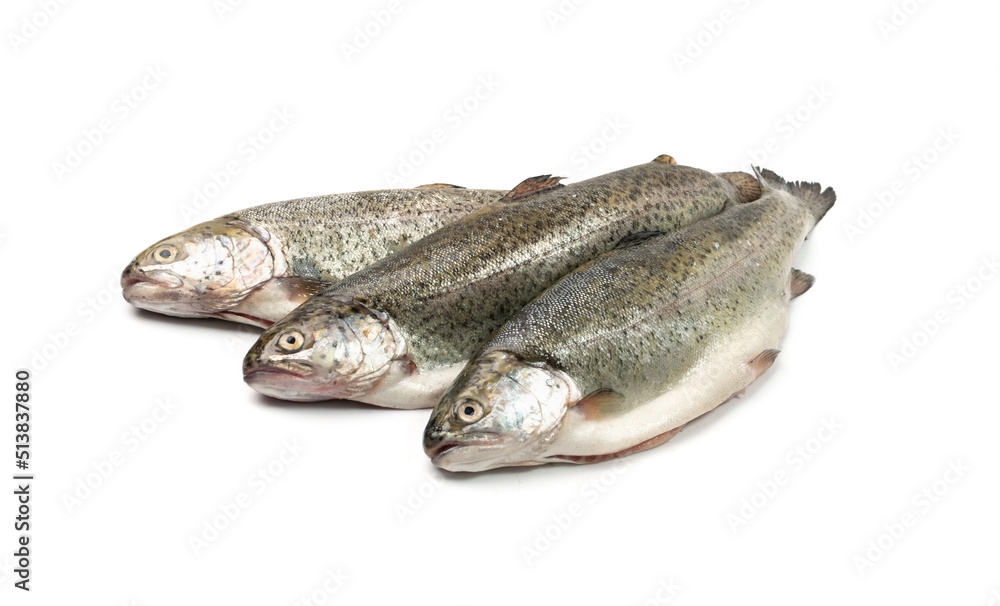 Raw Trout Isolated Raw Trout Isolated