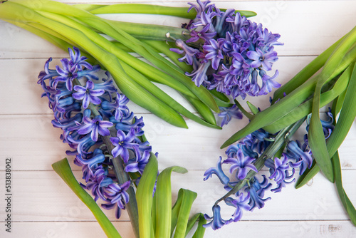 Spring flower bouquet. Top view on fresh purple hyacinth with green leaves on white wooden table
