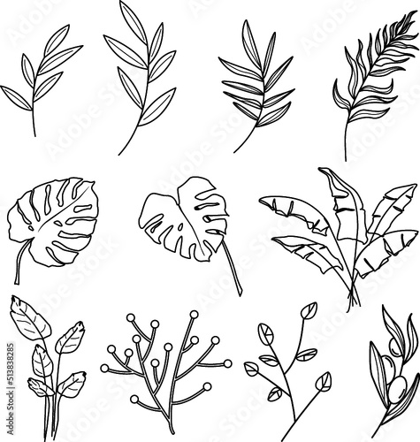 Set de arte lineal de hojas minimalistas, decorativo de plantas, tatuaje naturaleza