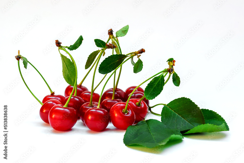 ripe red cherry with twig and leaves close-up on a white background ripe red cherry with twig and leaves close-up on a white background