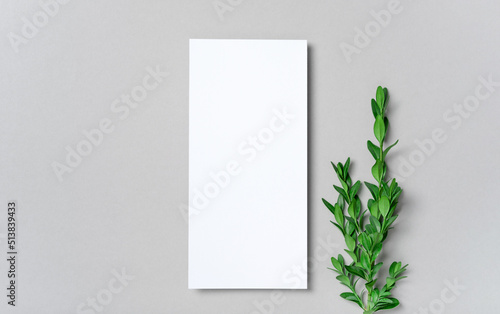 Rectangular vertical or square invitation white greeting card mockup with a boxwood branch. Top view with copy space, pastel grey background. Template for branding and advertising