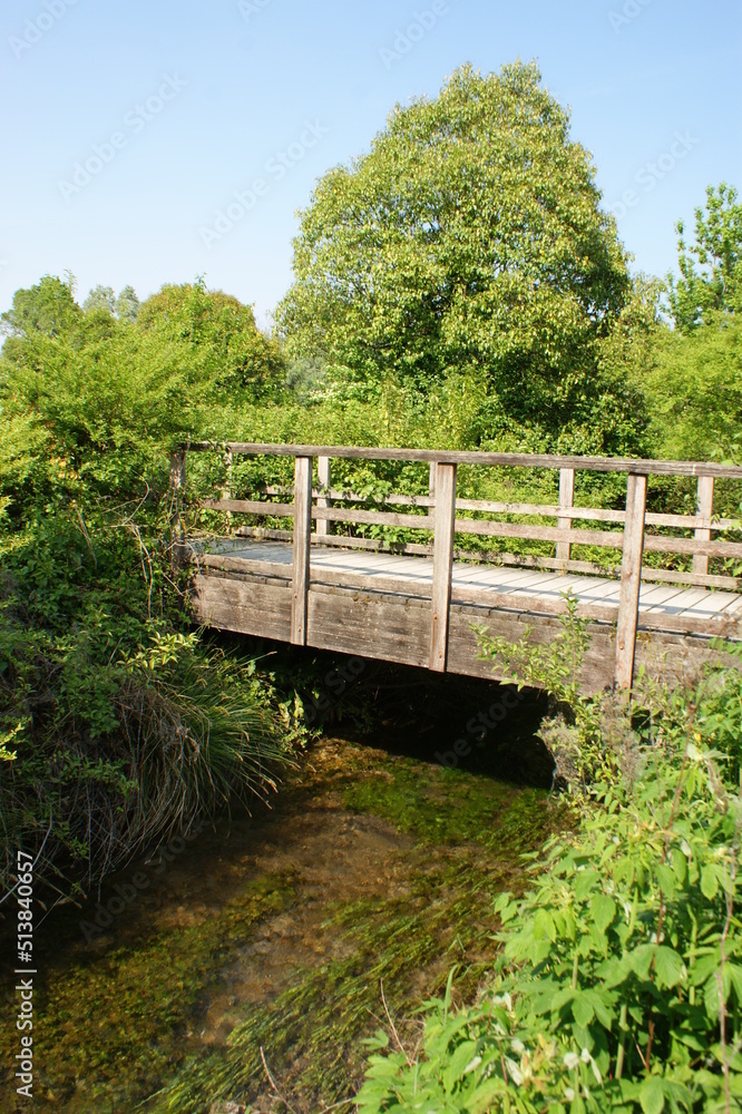 Fototapeta premium wooden bridge in the park