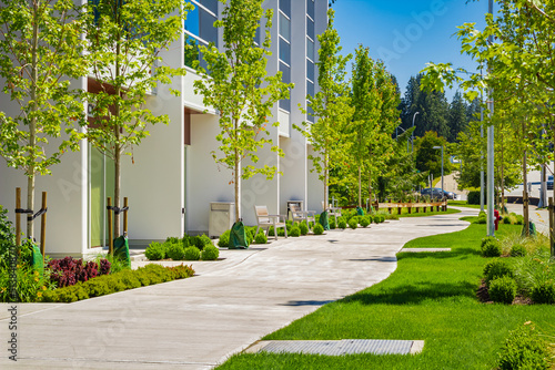 Fototapeta Naklejka Na Ścianę i Meble -  Green city street with walkway in residential area in sunny summer day