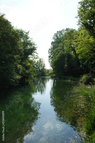 river in the forest