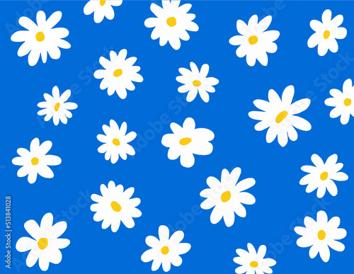 daisy white flowers in a blue background. White Daisies, Blue background