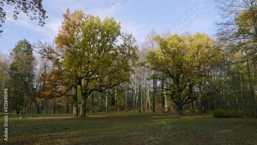 St. Petersburg in autumn, a natural monument landscape park 