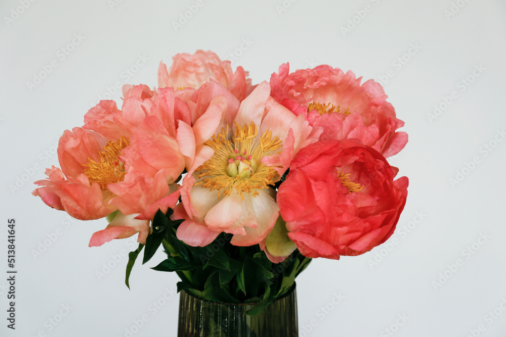 Beautiful bouquet of peonies in a glass vase on table. Visible petal structure. Bright patterns of flower buds. Top view, close up, copy space, white wall background. Beautiful bouquet of peonies in a glass vase on table. Visible petal structure. Bright patterns of flower buds. Top view, close up, copy space, white wall background.