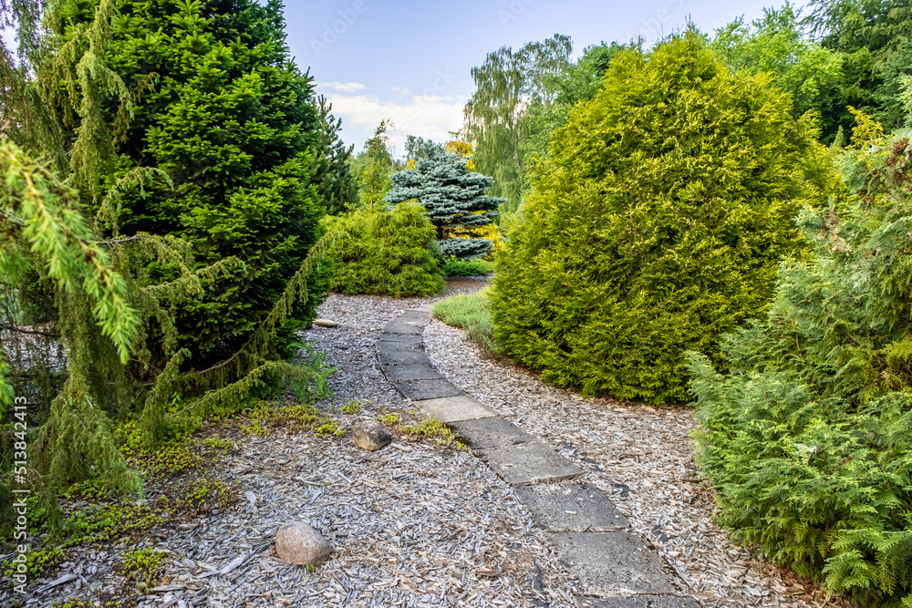 Park area with thujas and decorative trees, path between thujas and fir trees, decorative spruce, stone path made of decorative tiles in the garden, landscape design Park area with thujas and decorative trees, path between thujas and fir trees, decorative spruce, stone path made of decorative tiles in the garden, landscape design