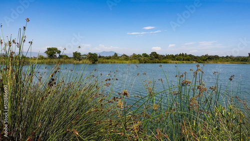 Slika na platnu Overlooking one of the ponds at San Joaquin Marsh