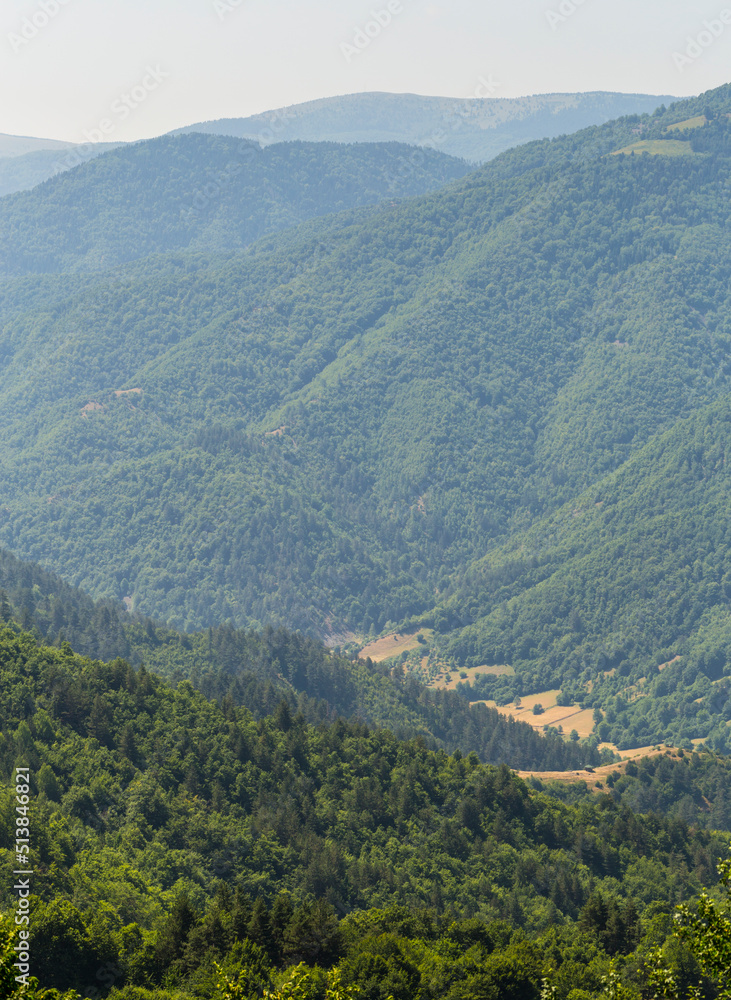 Rhodopes, are a mountain range in Southeastern Europe. Bulgaria. Panorama. The forest area covers the mountains.