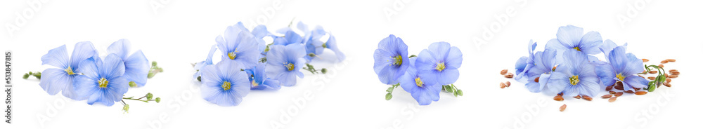 Set with flax seeds and flowers on white background. Banner design