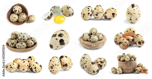 Fototapeta Set with quail eggs on white background. Banner design